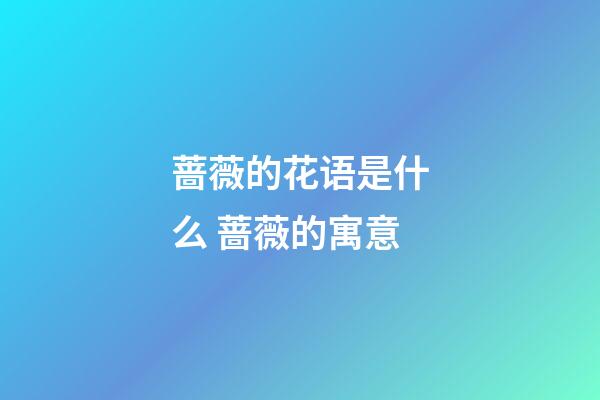 蔷薇的花语是什么 蔷薇的寓意